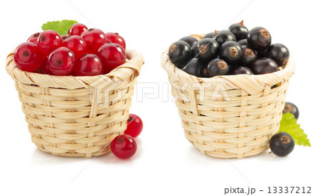 red and black currants berry 13337212