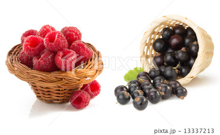 raspberry and currants  on white background 13337213