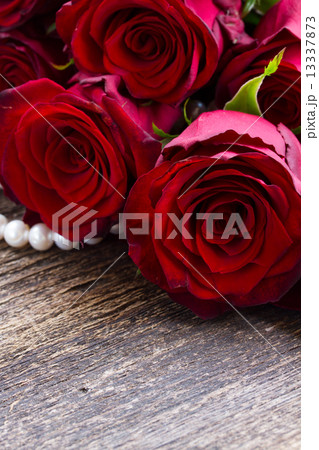 red roses on velvet red roses on velvet 13337873