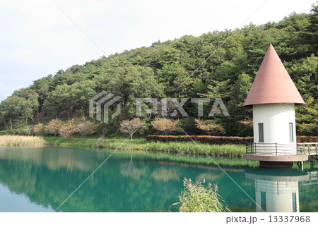 緑が池 13337968