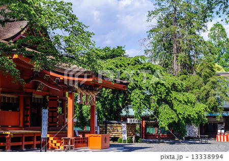 富士山本宮浅間大社拝殿 富士山本宮浅間大社拝殿 13338994