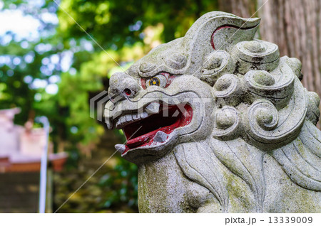 須山浅間神社の狛犬 13339009