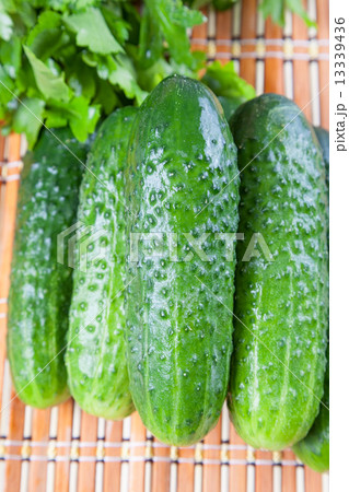 cucumber 13339436
