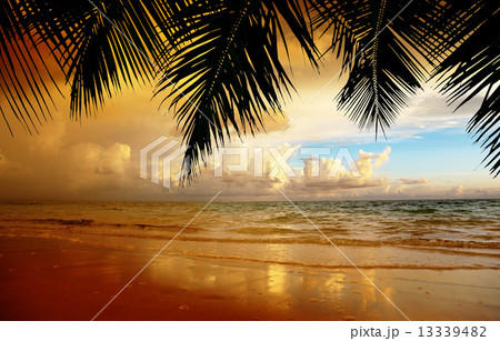 sunset on the beach of caribbean sea 13339482