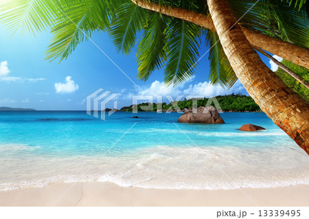 Anse Lazio beach at Praslin island, Seychelles 13339495
