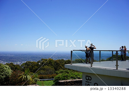 ダンデノン 13340288