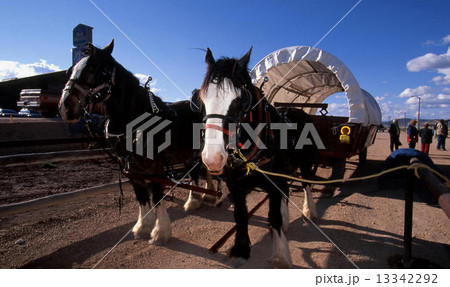 ブライスキャニオン 13342292