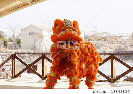 中国獅子舞2 13342337