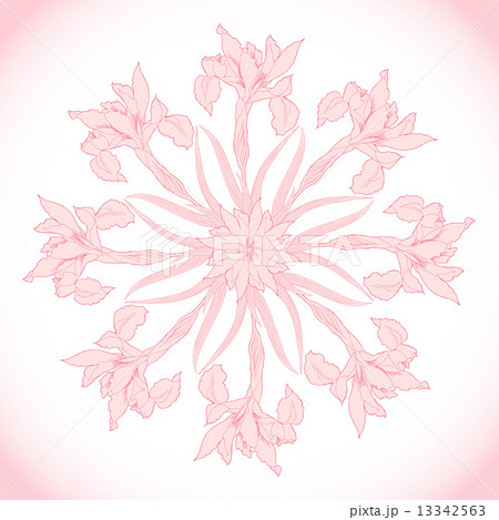 Ornamental round with pink irises Ornamental round with pink irises 13342563