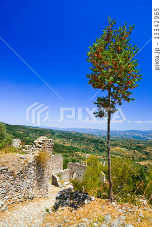 Ruins of old town in Mystras, Greece 13342965