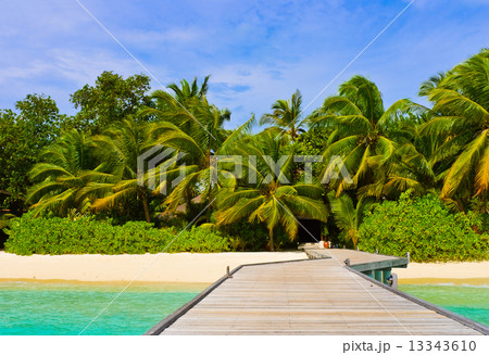 Jetty, beach and jungle 13343610