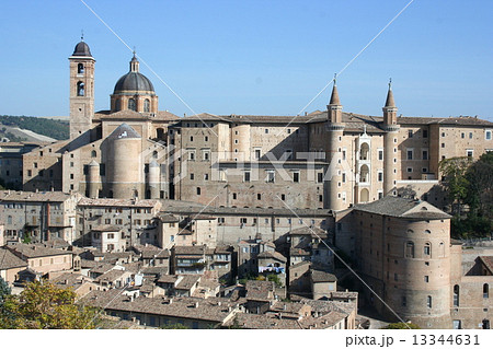 ウルビーノ ウルビーノ 13344631