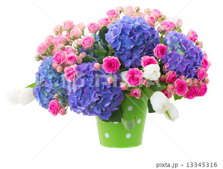 pink roses and blue hortensia flowers close up 13345316