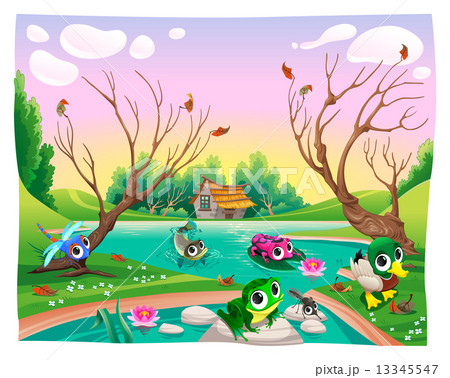 Funny animals in the pond Funny animals in the pond 13345547
