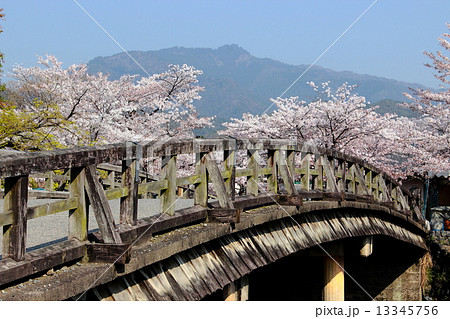 京都 嵐山公園の中之島橋と桜の写真素材