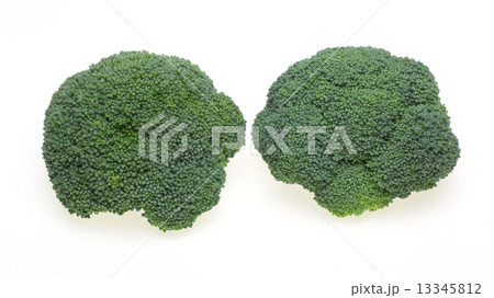 ブロッコリー 13345812