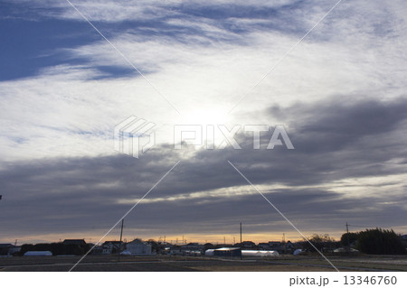 冬の畑 冬の畑 13346760