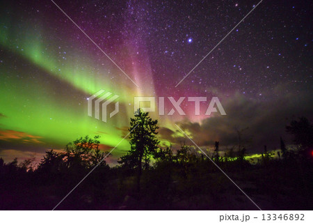 イエローナイフのオーロラ イエローナイフのオーロラ 13346892