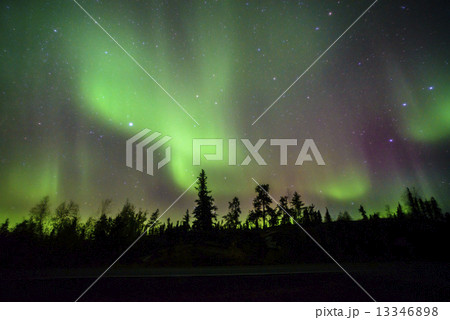 イエローナイフのオーロラ 13346898