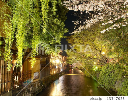 祇園白川、巽橋の夜景 13347023