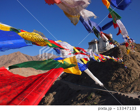 ゴンパとタルチョー（ラダック） 13347133