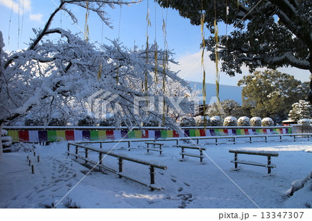 東寺　（教王護国寺）境内②　 13347307