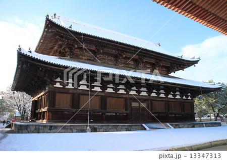 雪の東寺　（教王護国寺）講堂 13347313