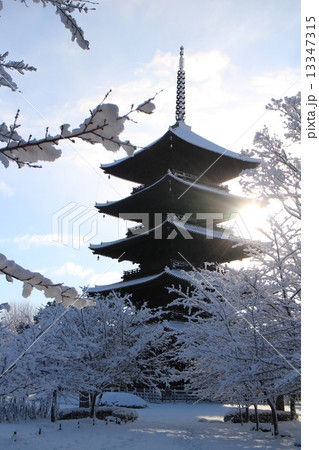 雪の東寺　（教王護国寺）五重塔③ 13347315