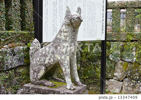 若宮稲荷神社のキツネの像（亀山社中 付近／長崎県長崎市伊良林2丁目） 13347409
