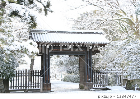 京都御所(蛤御門) 京都御所(蛤御門) 13347477