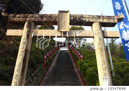 篠崎八幡宮 13347646