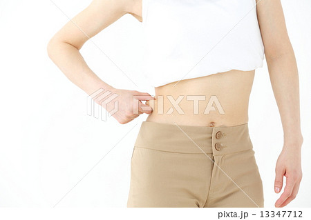 脇腹・ぜい肉 13347712