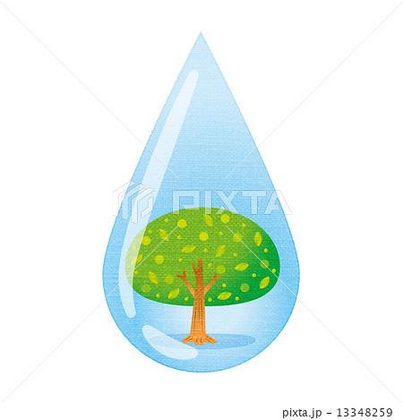 水滴と木 水滴と木 13348259