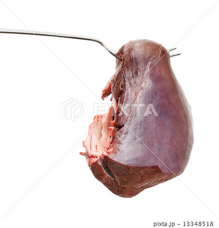 Large piece of meat on fork 13348518