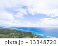 ハワイ　緑と海 13348720