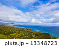 林と海 13348723