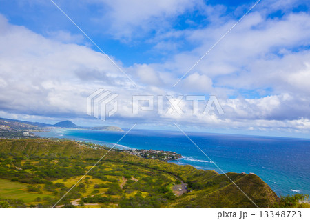 林と海 林と海 13348723