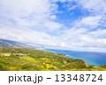 林と海 13348724