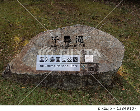 屋久島　千尋の滝 13349107