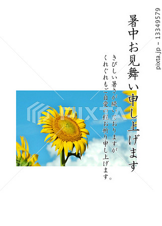 暑中見舞いテンプレート 青空に夏雲と大輪のヒマワリ1輪 黒文字 暑中お見舞い申し上げます コメ の写真素材