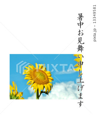 暑中見舞いテンプレート・青空に夏雲と大輪のヒマワリ1輪・黒文字「暑中お見舞い申し上げます」コメントなし縦位置 13349581
