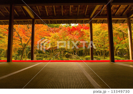 円光寺　紅葉 13349730
