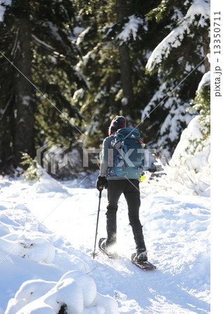 スノーシューイングーSnowshoeing スノーシューイングーSnowshoeing 13350711