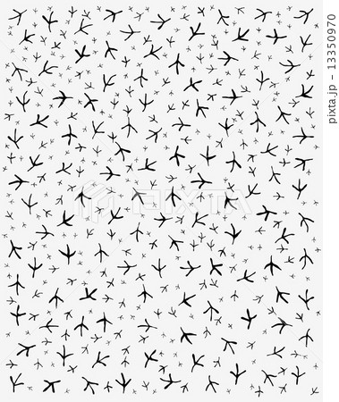 trace of birds trace of birds 13350970