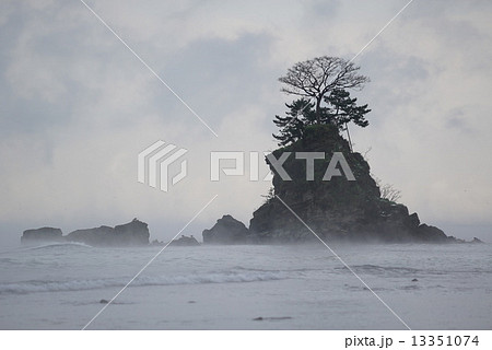 雨晴海岸 13351074