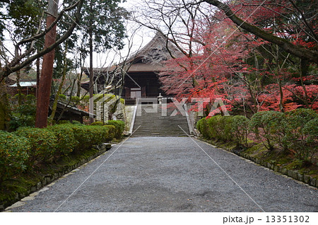 国宝 三井寺の金堂（滋賀県大津市園城寺町） 13351302