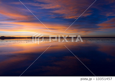 ウユニ塩湖　朝焼け 13351457