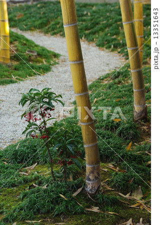 日本庭園 13351643