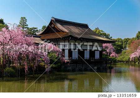 春の平安神宮 - 神苑 春の平安神宮 - 神苑 13351659