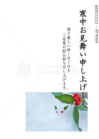 寒中お見舞いテンプレート・雪中に雪うさぎとセンリョウの実・縦書き黒文字「寒中お見舞い申し上げます」寒中お見舞いコメントあり縦位置 13351696
